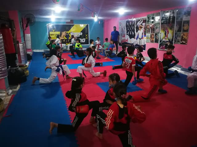 ART & SPORT Academy