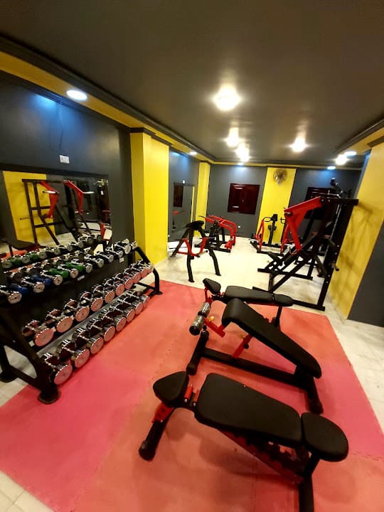 gym777