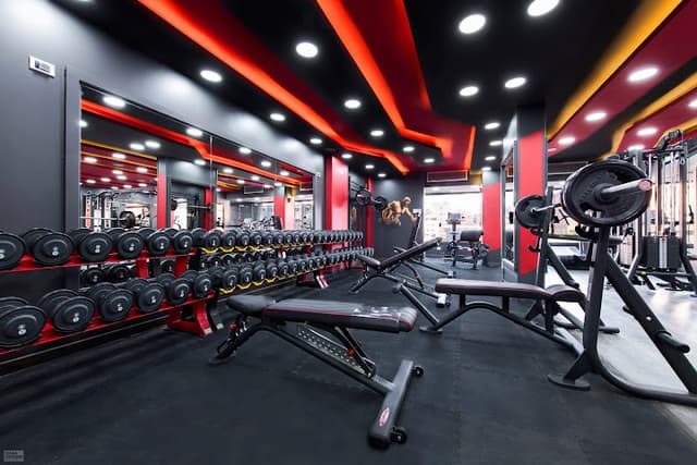 Predator Gym