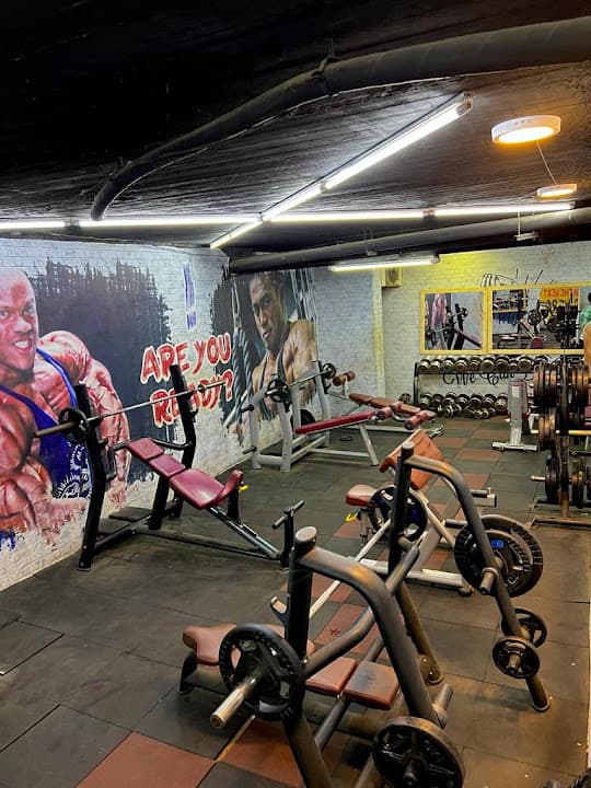 Eltmemy GYM