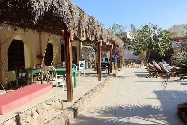 Sinai Old Spices - سيناي اولد سبايس