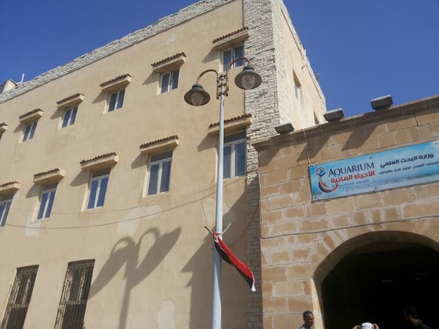 National Institute For Oceanography & Fisheries