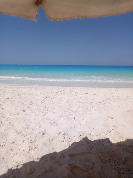 Green Beach Pharmacy - صيدلية جرين بيتش