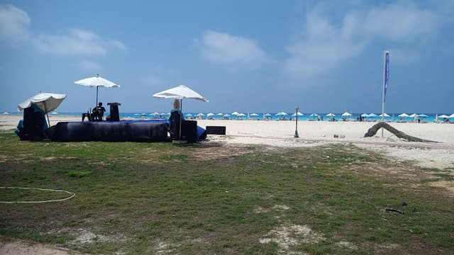 شاطئ ذابيتش - The Beach