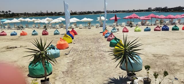 Spot Beach Marina 7