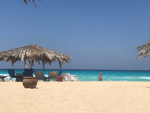 BIANCHI - بيانكي